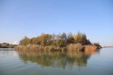 Ferienhaus am Hainer See-BellaVista Beach House No. 25